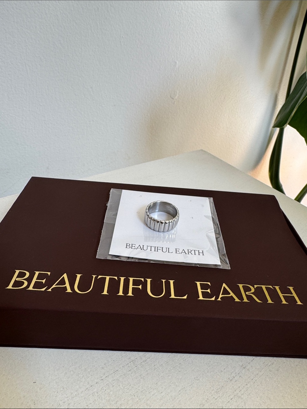 Beautiful Earth / Chunky Calira Silver Ring